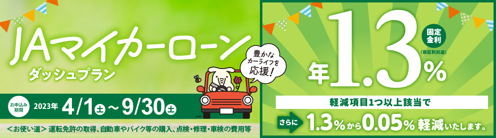 マイカーローンダッシュ
