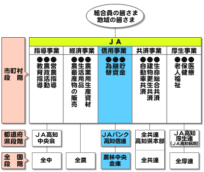 組織図